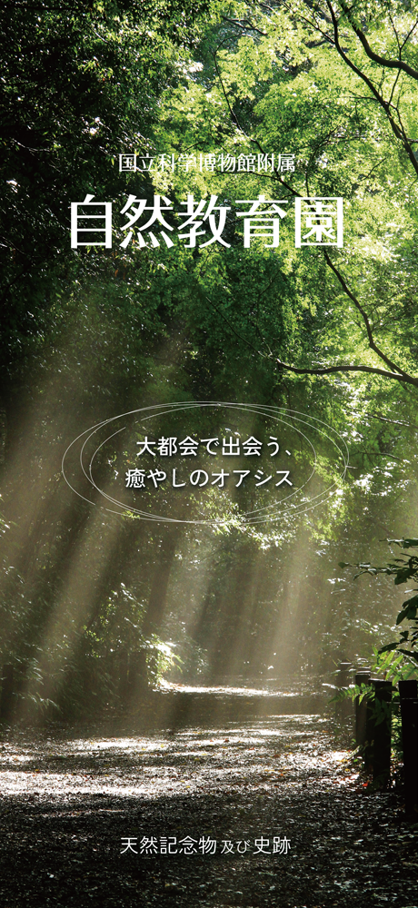 自然教育園リーフレットJP