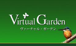 Virtual Garden�@���@�[�`�����E�K�[�f��
