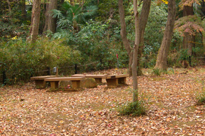 武蔵野植物園　ベンチ　イメージ