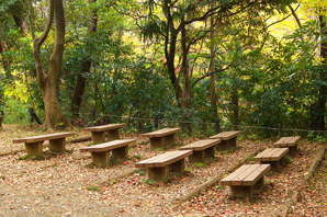 武蔵野植物園　園路ベンチ　イメージ